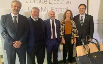 Comité ejecutivo del Cermi Estatal
