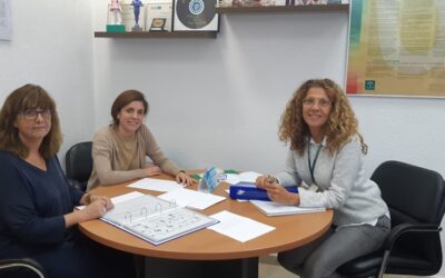 Reunión Plan de Accesibilidad