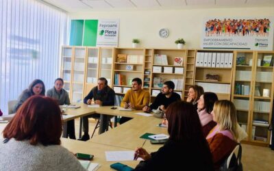 Reunión del Grupo de Profesionales de Apoyo a Familias y Acompañamiento de las Entidades Miembros de Feproami