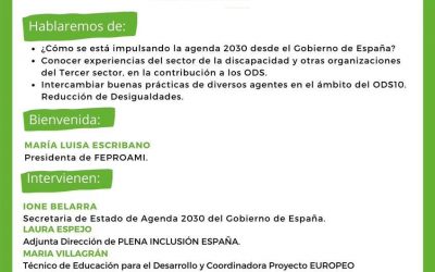 Encuentro virtual «ODS y Discapacidad. Alianzas para el cambio»