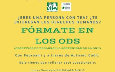 Formación de los ODS