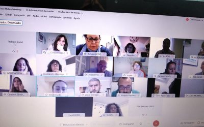 Mesa de Discapacidad del Ayuntamiento de Cádiz