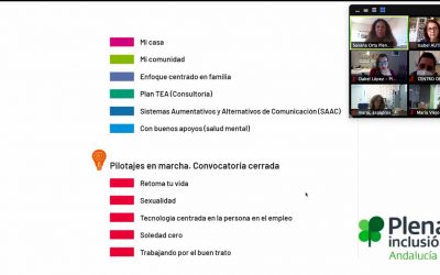 Presentación de los pilotajes de Plena Inclusión Andaluacía
