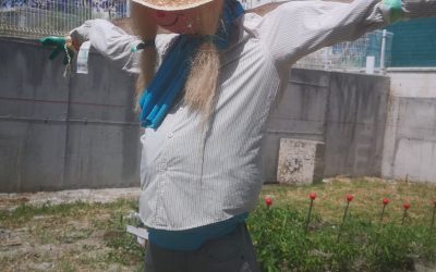 Huerto Urbano de Hogares Jerez