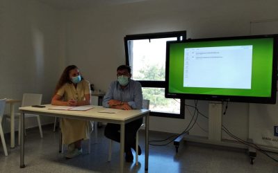 Nueva Área de Trabajo sobre Accesibilidad