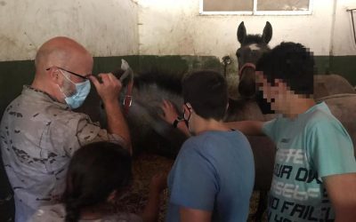 Visita a la Yeguada Militar