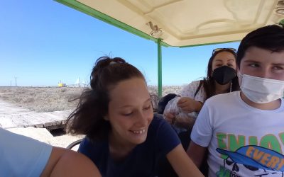 Actividades de Ocio en verano