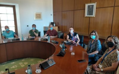 Diseño de la convocatoria de Empleo Público