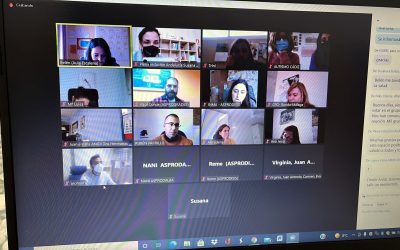 Sesión de trabajo de Salud Mental