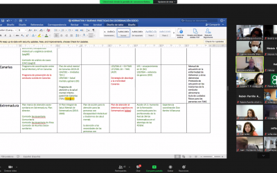 Reunión estatal del grupo de mejora de Plena Inclusión