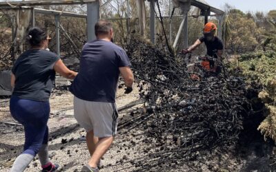 ‘Muchas gracias’, artículo de Carmen López Ginés un año después del incendio de Las Canteras