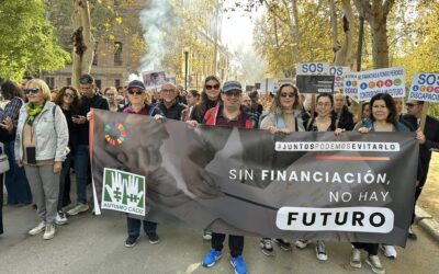 Manifestación en Sevilla del sector de la discapacidad